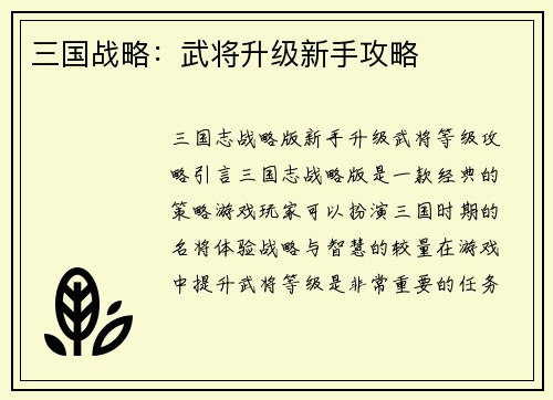 三国战略：武将升级新手攻略